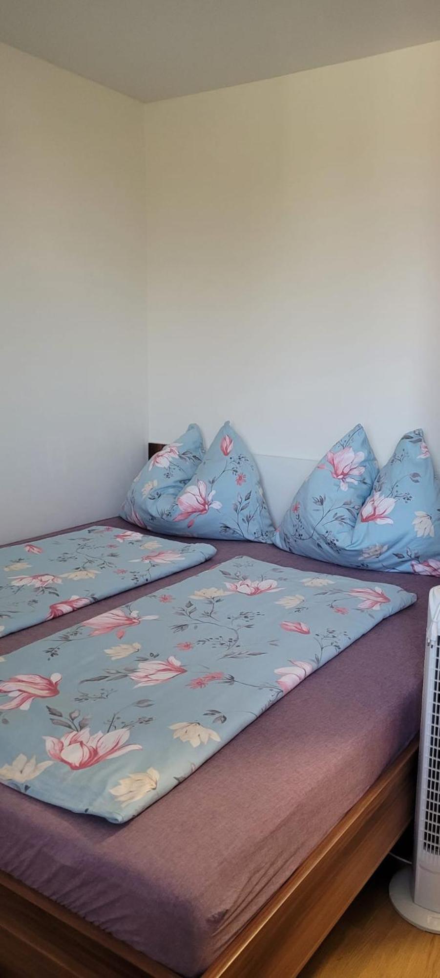 Ferienwohnung Stoisser Mureck Buitenkant foto